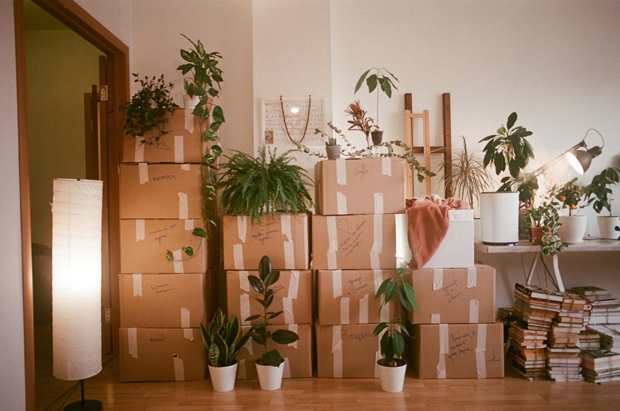 Things to Consider Before Moving to a New Home